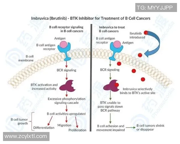 足球明星背后的营养专家揭秘他们的饮食计划与健康管理秘诀